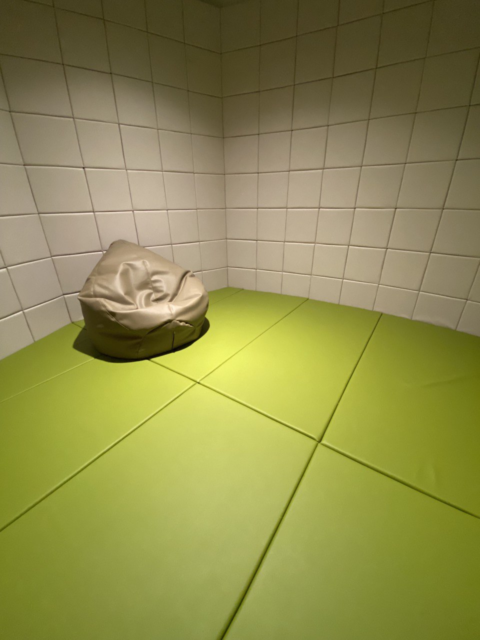 The inner private space of the Calm Pod. It has padded walls and flooring, and a beanbag is also provided